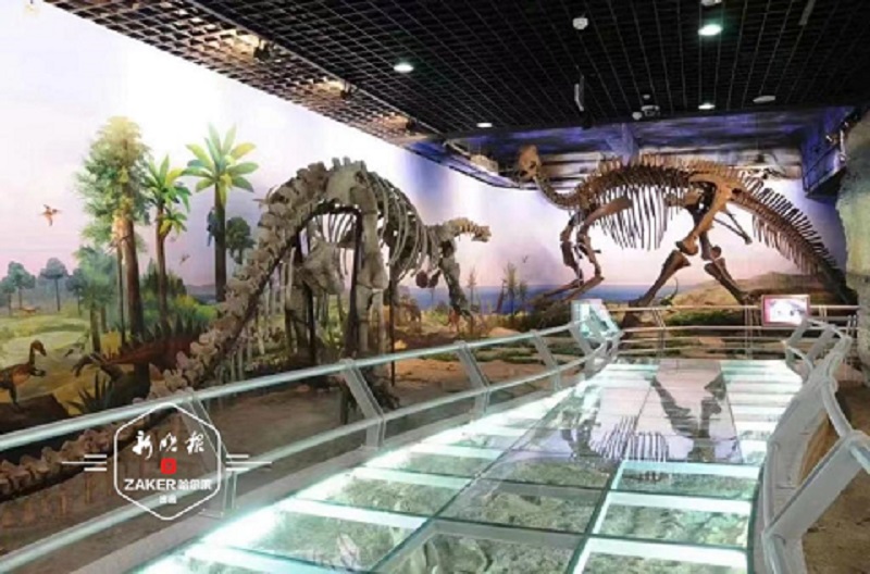 哈爾濱市有多少科普教育基地？